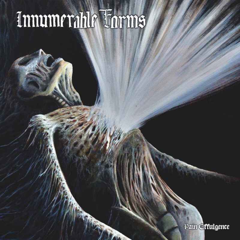 INNUMERABLE FORMS - Pain Effulgence CD